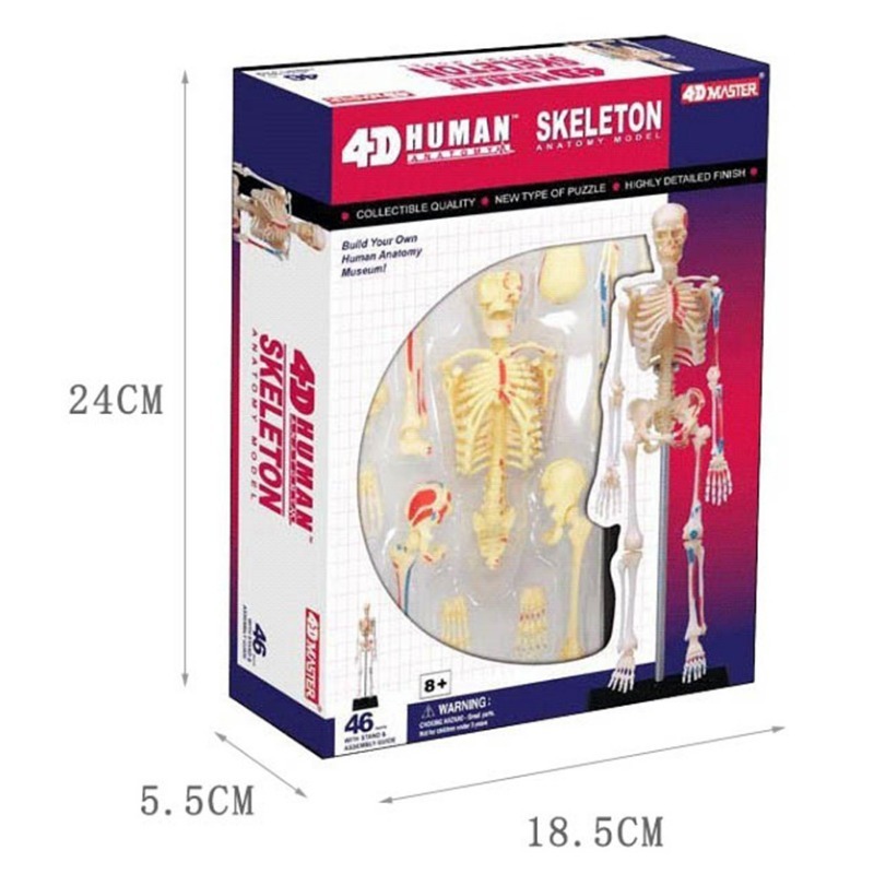 4d Human Full Skeleton Anatomy - огляд і ціна Medical Lab Assistant